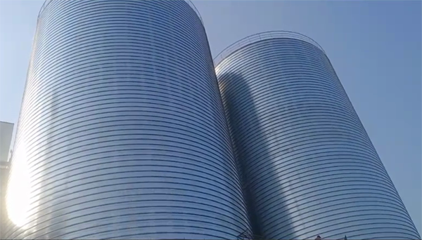 内乡2座混凝土高架卷板仓